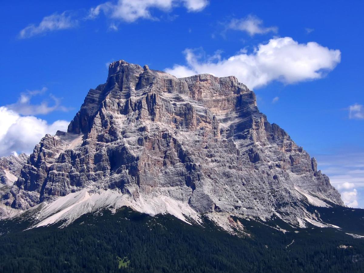 Hotel Belvedere Dolomiti Pieve di Cadore Kültér fotó