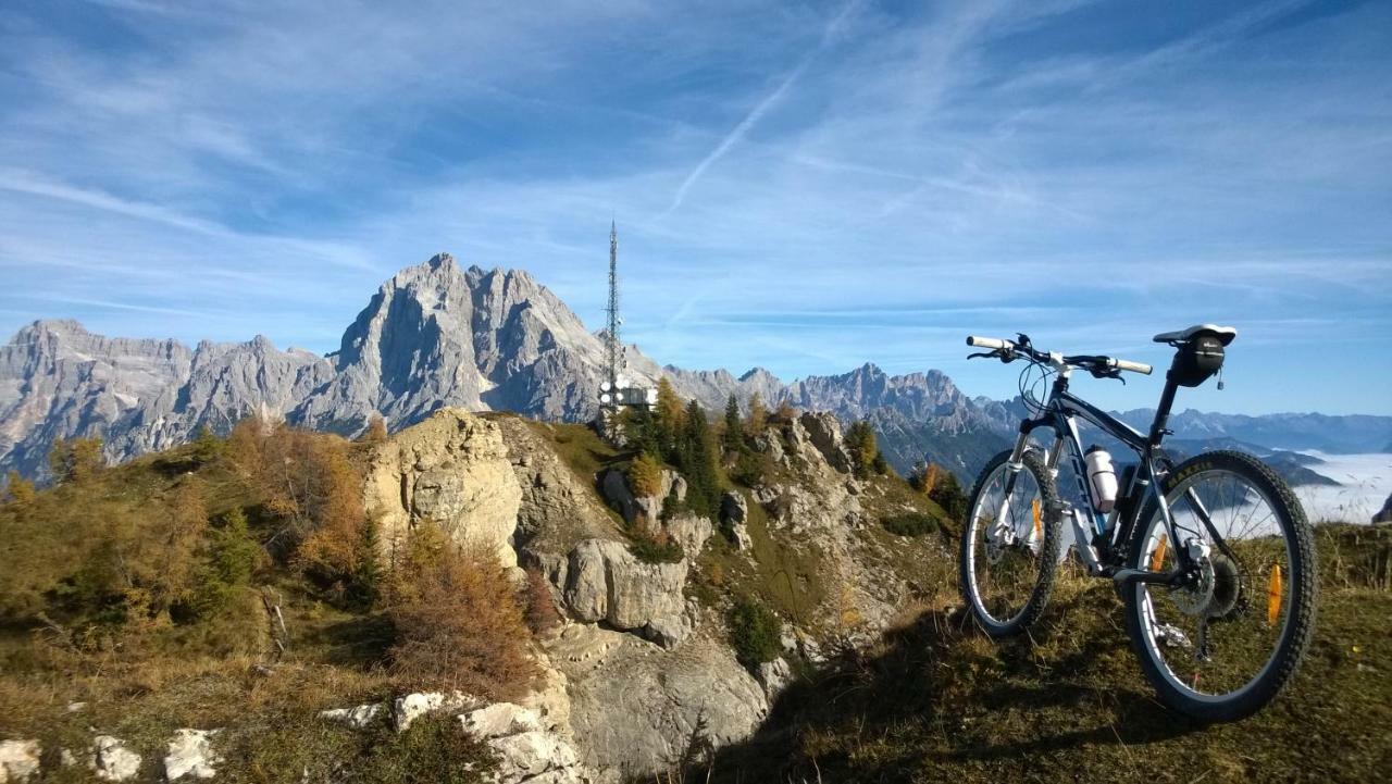 Hotel Belvedere Dolomiti Pieve di Cadore Kültér fotó